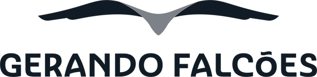 Logotipo da ong Gerando Falcões.