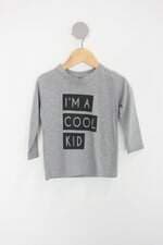 Camiseta Infantil cinza com silk 